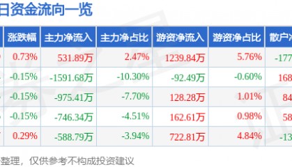 股票行情快报:泰山石油(000554)7月14日主力资金净买入531.89万元