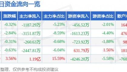 股票行情快报:胜利精密(002426)8月1日主力资金净卖出1187.29万元
