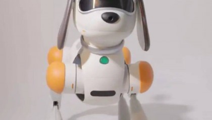 巨星传奇携手宇树科技推出“巨星狗” 浅色调亲和外形融合可爱与科技