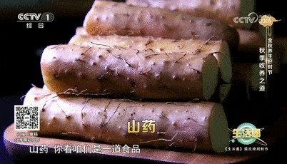 秋季养生做好这3件事 让你气血足、心情好、脏腑润→