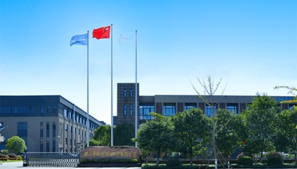 中晶科技2025年上半年表现如何？