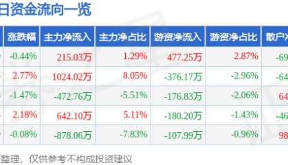 股票行情快报:安洁科技(002635)5月13日主力资金净买入215.03万元