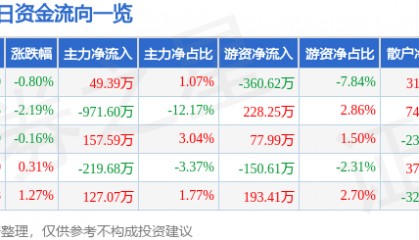 股票行情快报:泰山石油(000554)5月23日主力资金净买入49.39万元
