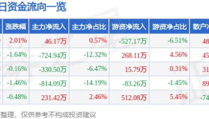 股票行情快报:泰山石油(000554)5月6日主力资金净买入46.17万元