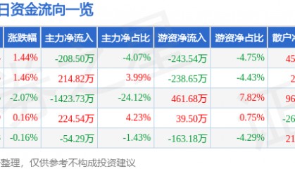 股票行情快报:泰山石油(000554)6月4日主力资金净卖出208.50万元