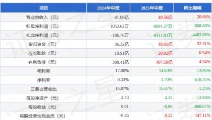 北新路桥(002307)2025年中报简析:增收不增利