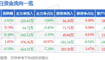 新华传媒（600825）10月13日主力资金净卖出326.41万元