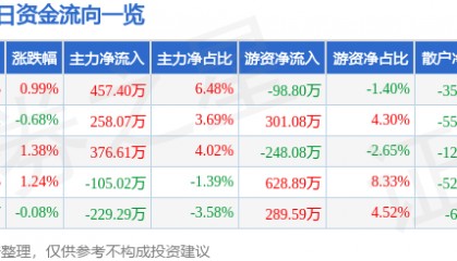 股票行情快报:安洁科技(002635)6月9日主力资金净买入457.40万元
