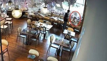 上海警方:一个月犯了4次,王某(女)被刑拘!