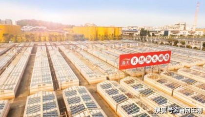 海天味业MSCI ESG评级跃升至A级