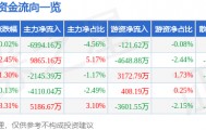 股票行情快报：软通动力（301236）9月17日主力资金净卖出6994.16万元