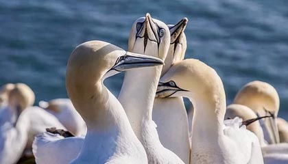 每周股票复盘:吉视传媒(601929)近5日三次登龙虎榜