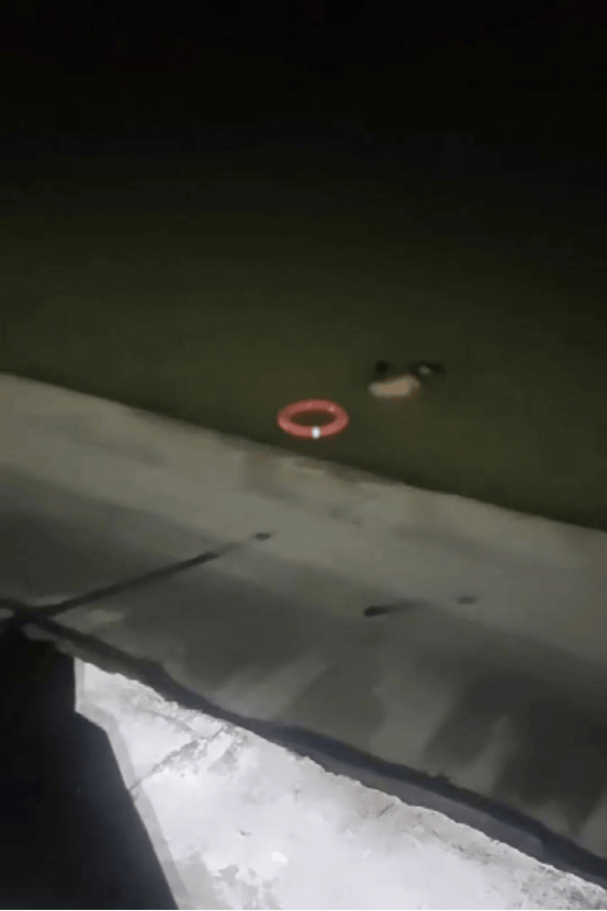 东莞一女子凌晨沉入漆黑水库,民警第二跳让人揪心……