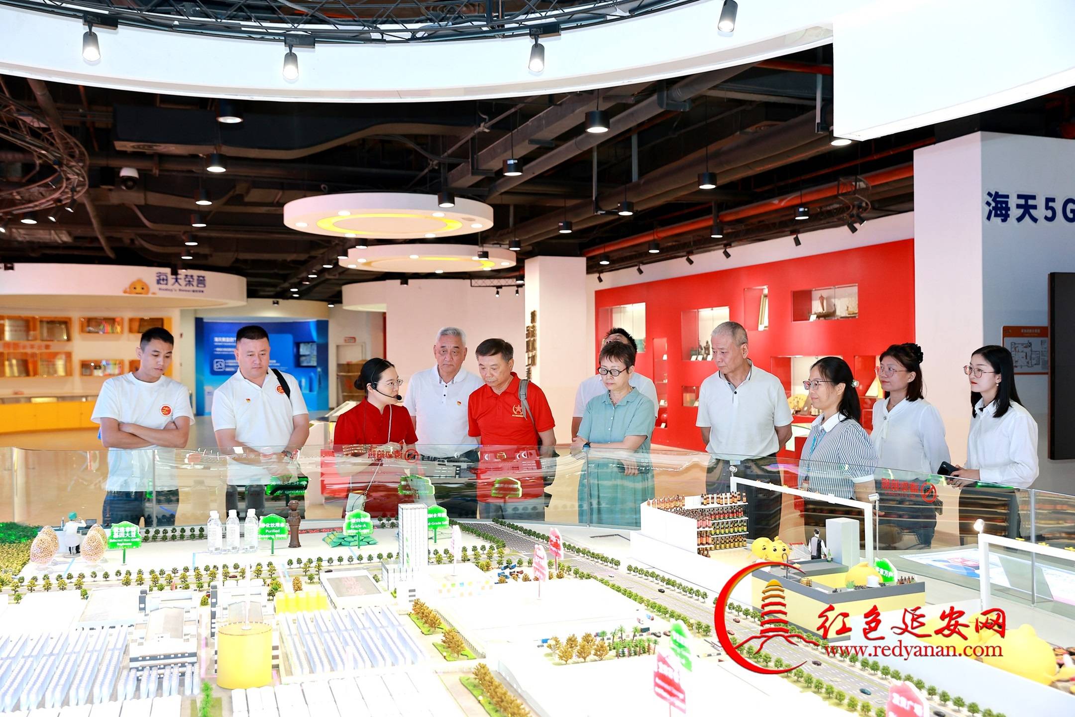 压舱石故事汇考察团走进海天味业