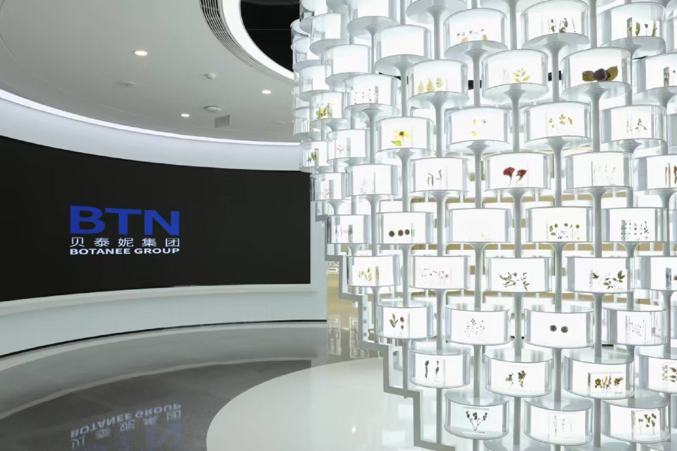 贝泰妮增长逻辑转化:如何打赢持久战?